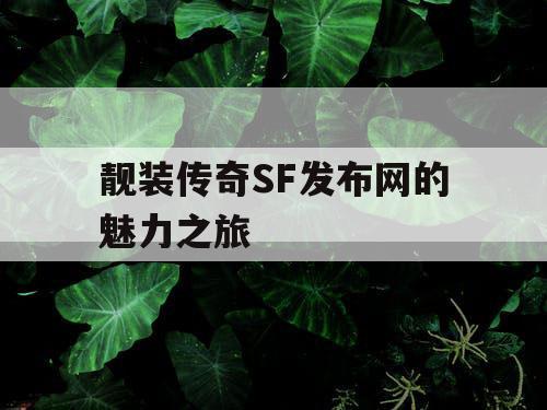 靓装传奇SF发布网的魅力之旅