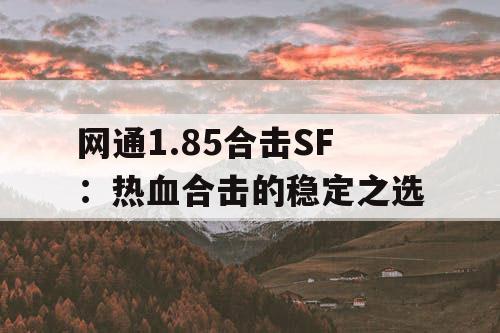 网通1.85合击SF：热血合击的稳定之选
