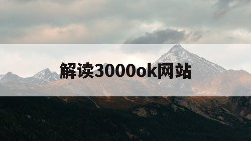 解读3000ok网站