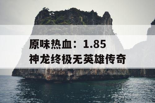 原味热血：1.85 神龙终极无英雄传奇