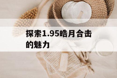 探索1.95皓月合击的魅力
