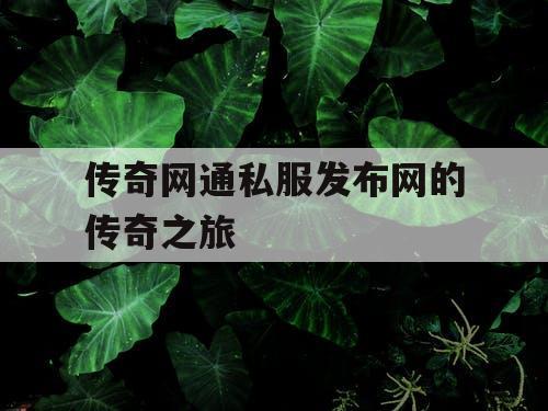 传奇网通私服发布网的传奇之旅