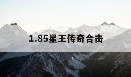 1.85星王传奇合击