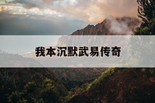我本沉默武易传奇