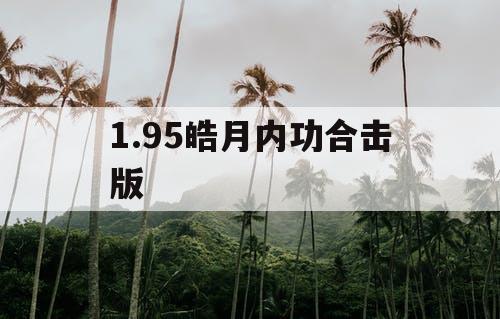 1.95皓月内功合击版