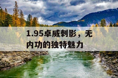 1.95卓威刺影，无内功的独特魅力