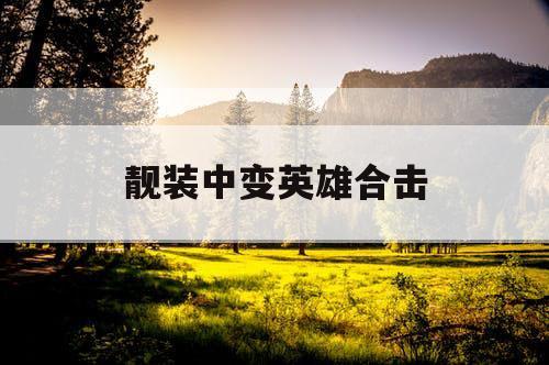 靓装中变英雄合击