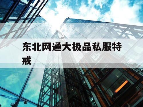 东北网通大极品私服特戒