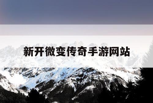 新开微变传奇手游网站