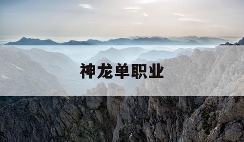 神龙单职业