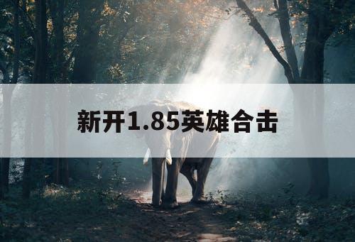 新开1.85英雄合击