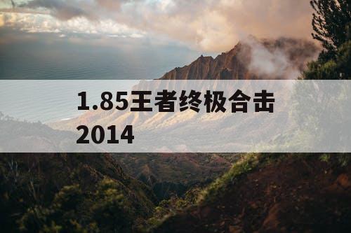 1.85王者终极合击2014