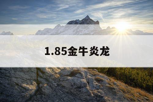 1.85金牛炎龙
