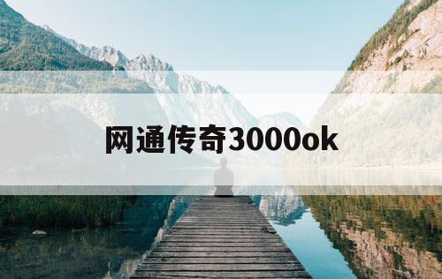 网通传奇3000ok