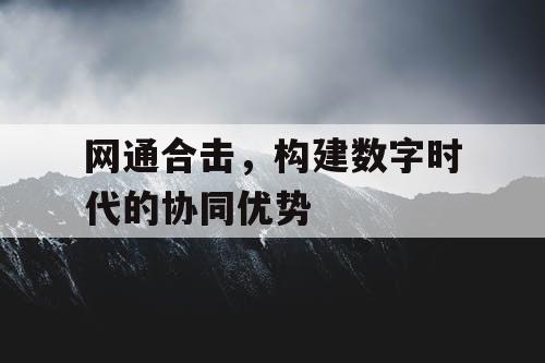 网通合击，构建数字时代的协同优势