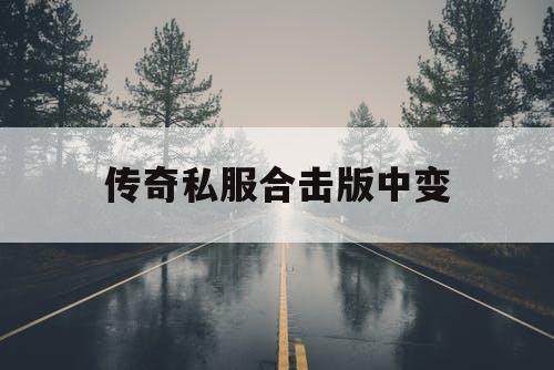 传奇私服合击版中变