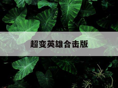 超变英雄合击版