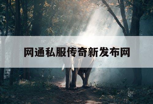网通私服传奇新发布网