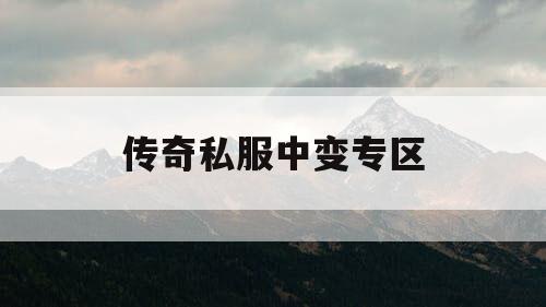 传奇私服中变专区
