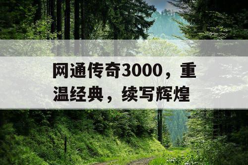网通传奇3000，重温经典，续写辉煌