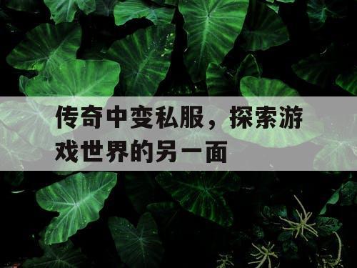 传奇中变私服，探索游戏世界的另一面