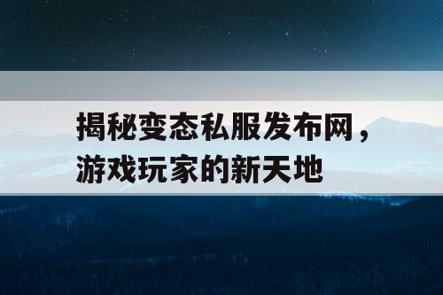 揭秘变态私服发布网，游戏玩家的新天地
