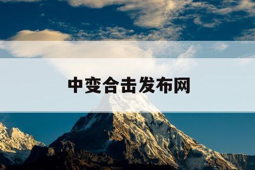中变合击发布网