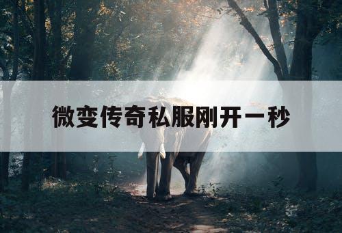 微变传奇私服刚开一秒