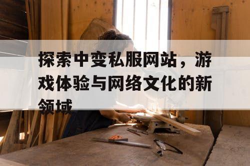 探索中变私服网站，游戏体验与网络文化的新领域