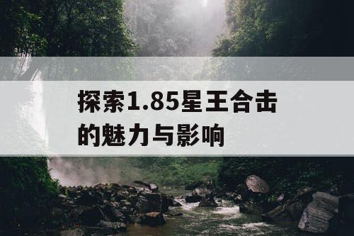 探索1.85星王合击的魅力与影响