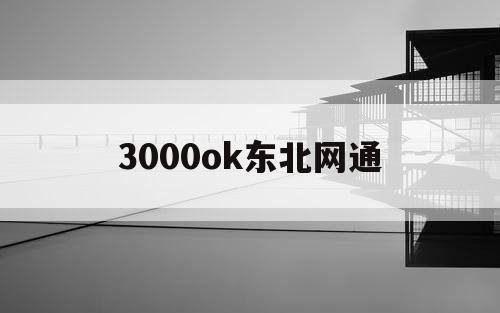 3000ok东北网通