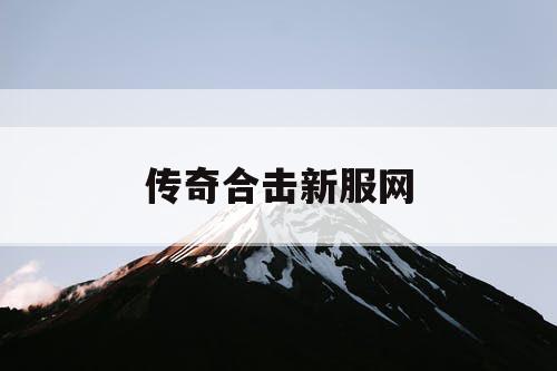 传奇合击新服网