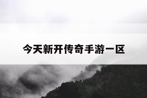 今天新开传奇手游一区