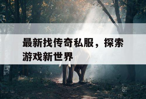 最新找传奇私服，探索游戏新世界
