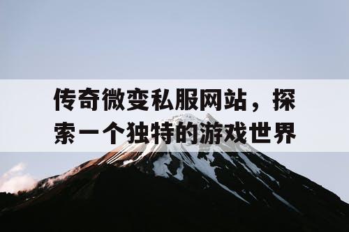 传奇微变私服网站，探索一个独特的游戏世界