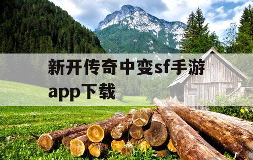 新开传奇中变sf手游app下载