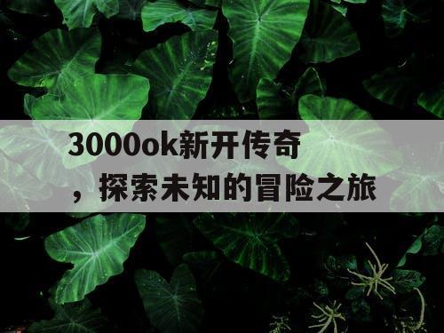 3000ok新开传奇，探索未知的冒险之旅