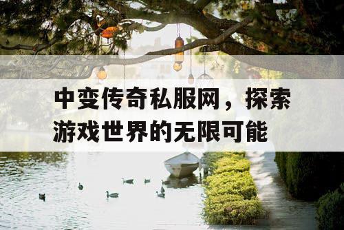 中变传奇私服网，探索游戏世界的无限可能