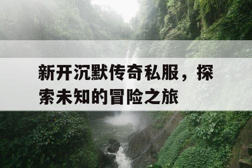 新开沉默传奇私服，探索未知的冒险之旅