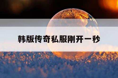 韩版传奇私服刚开一秒