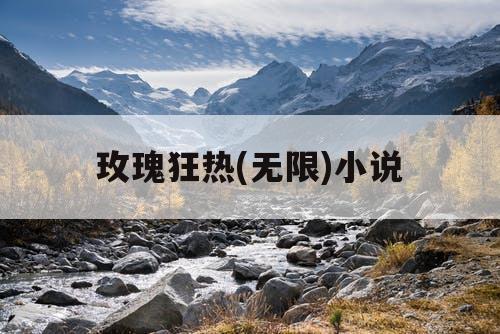 玫瑰狂热(无限)小说