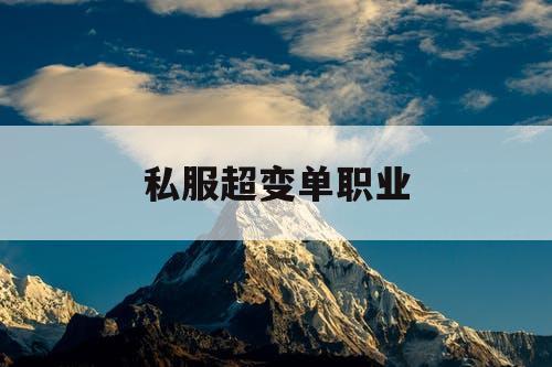私服超变单职业