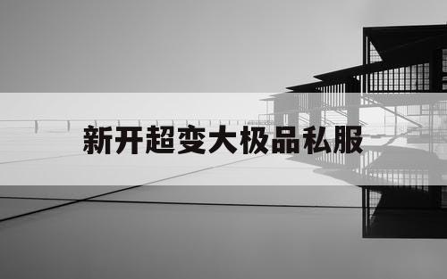 新开超变大极品私服