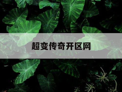超变传奇开区网