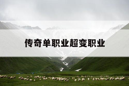 传奇单职业超变职业