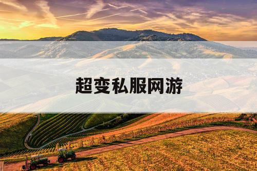 超变私服网游