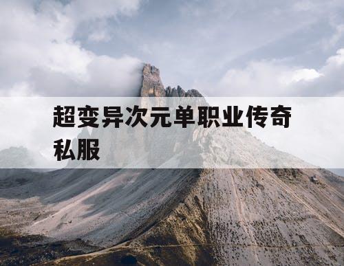 超变异次元单职业传奇私服