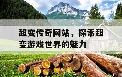 超变传奇网站，探索超变游戏世界的魅力