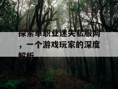 探索单职业迷失私服网，一个游戏玩家的深度解析