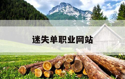 迷失单职业网站